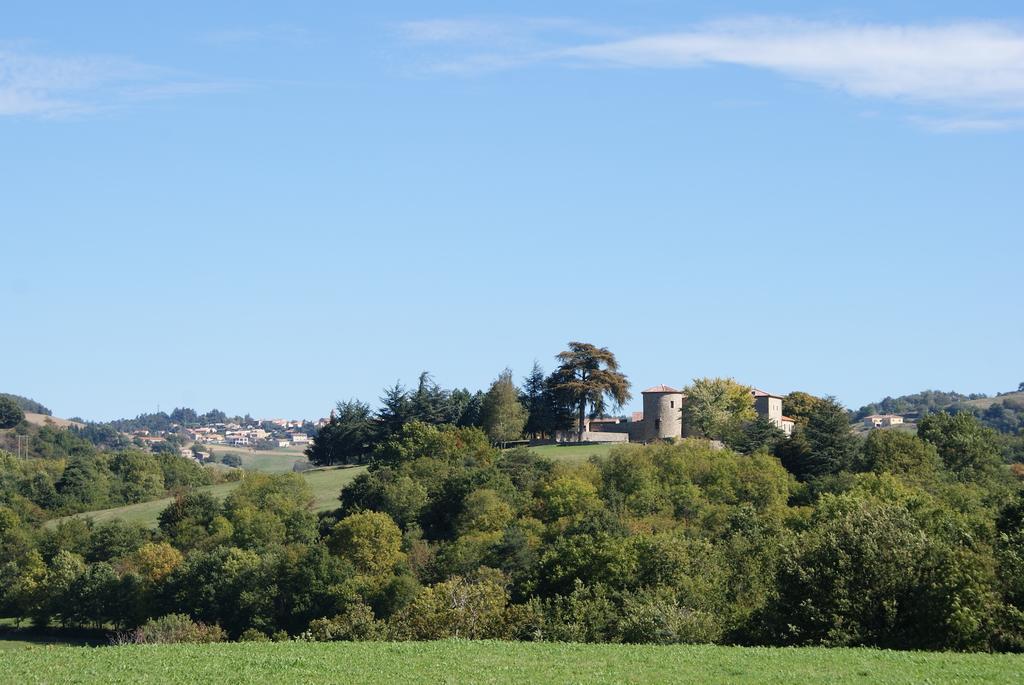 Chateau Du Besset Saint-Romain-de-Lerps Exterior foto